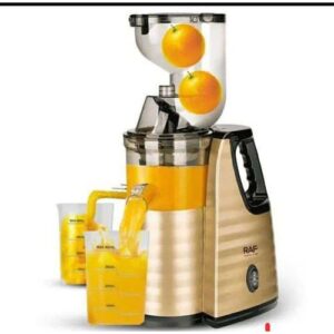 RAF Masticating Fruit Juicer Extractor
